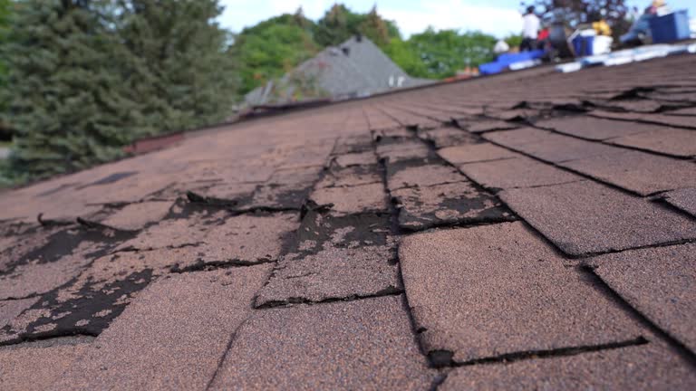Best Commercial Roofing Services  in Chatham, VA