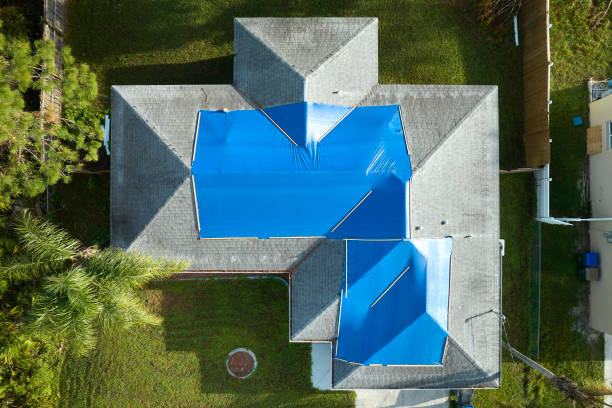 Best Cold Roofs  in Chatham, VA